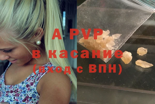 мяу мяу мука Покачи