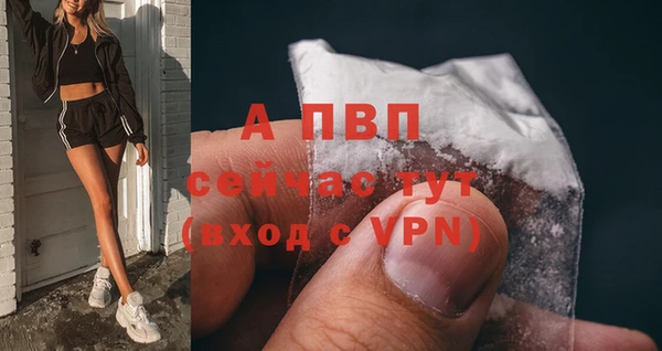 jwh Богородицк